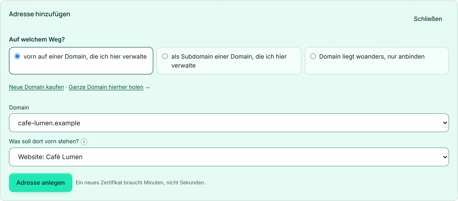 Das geöffnete Formular „Adresse hinzufügen“ im Adressplan von Café Lumen: die drei Wege unter „Auf welchem Weg?“ und darunter die Links „Neue Domain kaufen“ und „Ganze Domain hierher holen“.