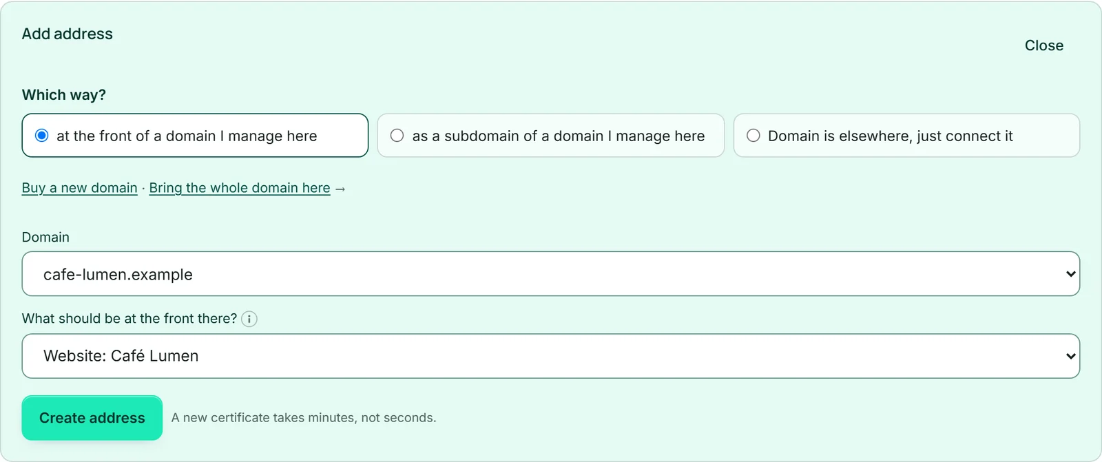 The open “Add address” form in the Café Lumen address plan: the three ways under “Which way?” and below them the links “Buy a new domain” and “Bring the whole domain here”.