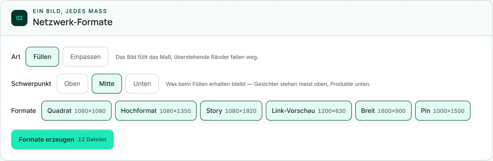 Der Bereich „Netzwerk-Formate“ mit den sechs Formatknöpfen von „Quadrat 1080×1080“ bis „Pin 1000×1500“, alle gewählt.